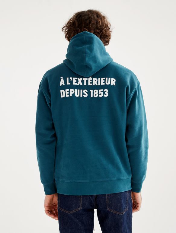 Hommes bleu orage Aigle sweat à capuche imprimé vêtements 2F48681